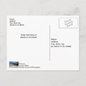 Shell Island Felsen und Wellen Postkarte (Rückseite)