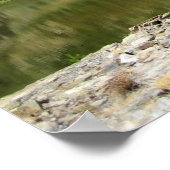 Shell Lake, Tioga Pass Poster (Ecke)