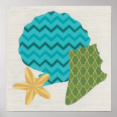 Shell Patterns II Poster (Vorne)