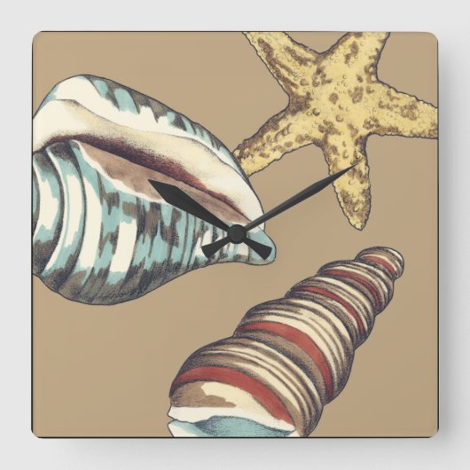 Shell Trio on Khaki Quadratische Wanduhr (Vorderseite)