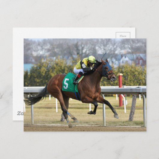 Shelley Ann Postkarte (Vorne/Hinten)