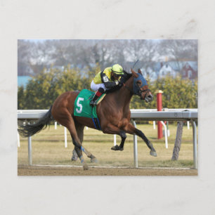 Shelley Ann Postkarte