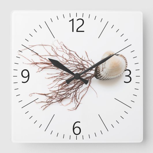 Shellfish Quadratische Wanduhr (Vorderseite)