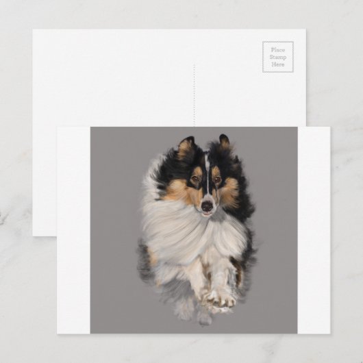 Shellie unterwegs postkarte (Vorne/Hinten)