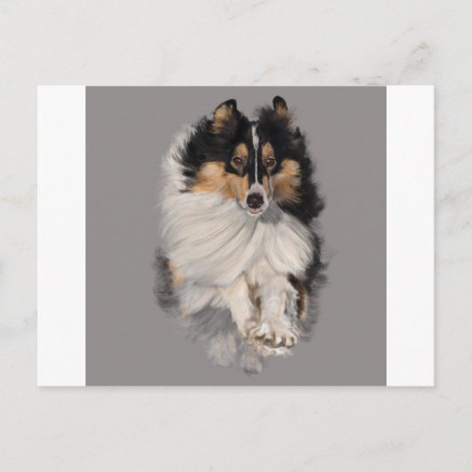 Shellie unterwegs postkarte (Vorderseite)