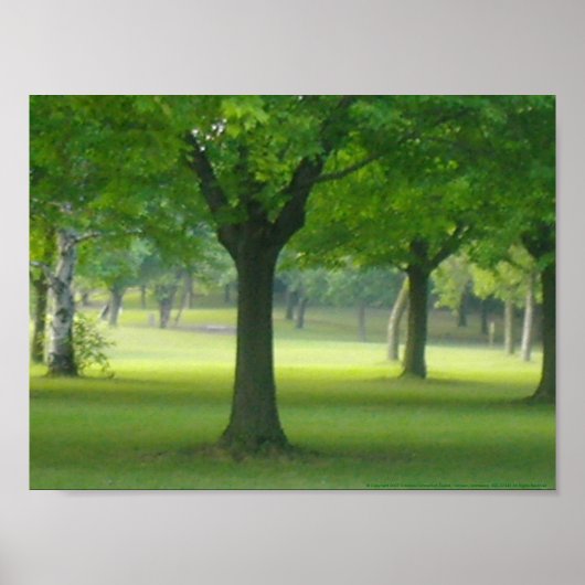 Shellis Canvas Print, uneingerahmt "Der Zauberwald Poster (Vorne)