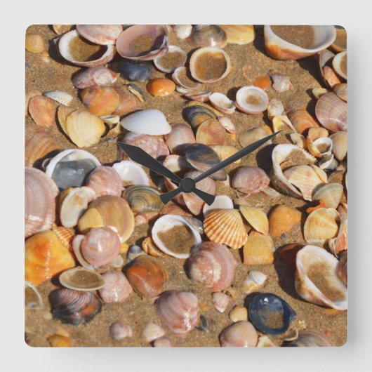 Shells On A Sandy Beach | Andalusia, Spain Quadratische Wanduhr (Vorderseite)