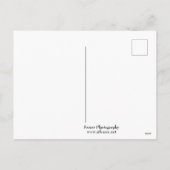 Shelly Head Lookout Feiertagspostkarte (Rückseite)