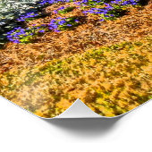 Shelter Cove Harbour & Marina Hilton Head Island Poster (Ecke)