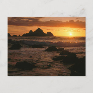 Shelter Cove Postkarte