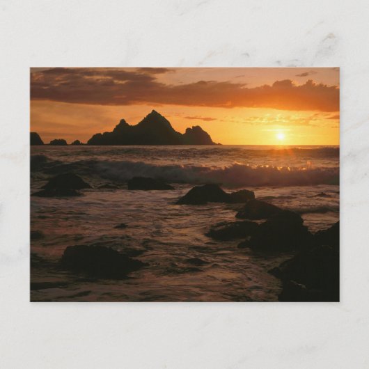 Shelter Cove Postkarte (Vorderseite)