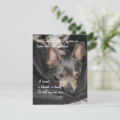 Shelter Dog - Chihuahua Feiertagskarte (Stehend Vorderseite)