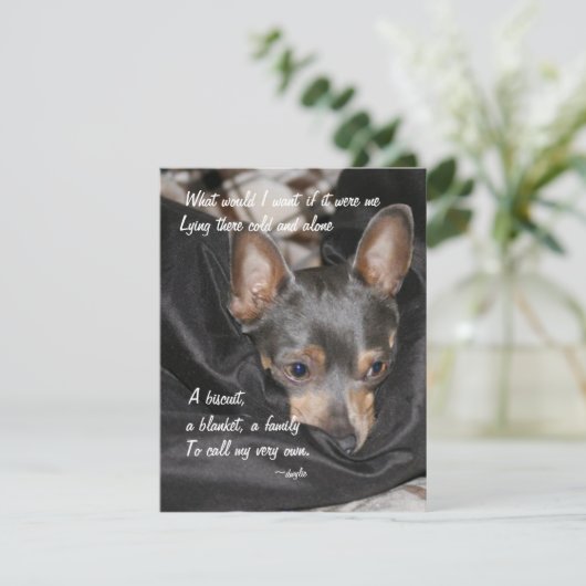 Shelter Dog - Chihuahua Feiertagskarte (Stehend Vorderseite)