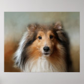 Shelti Sheep Dog Poster (Vorne)