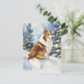 Sheltie 1 - Postkarte (Stehend Vorderseite)