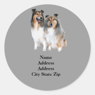 Sheltie Address-Label Runder Aufkleber