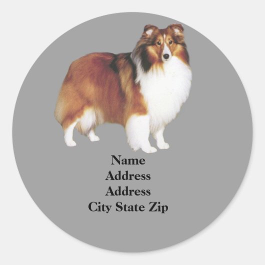 Sheltie Address-Label Runder Aufkleber (Vorderseite)