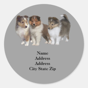 Sheltie Address-Label Runder Aufkleber