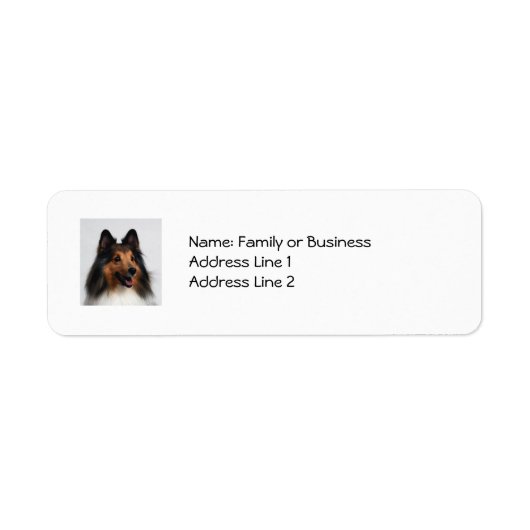 Sheltie Address Labels (Vorne)