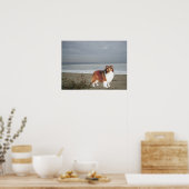 Sheltie am Strand Print Poster (Küche)