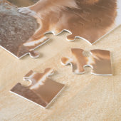Sheltie auf dem Klippenschützen gehört während des Puzzle (Seite)