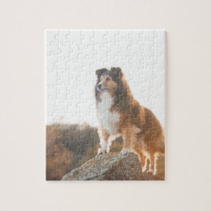 Sheltie auf dem Klippenschützen gehört während  Puzzle