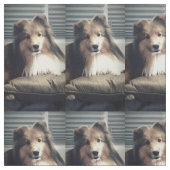 Sheltie auf fettem Viertel Stoff (Muster)