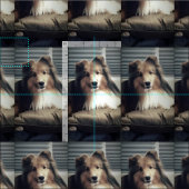 Sheltie auf fettem Viertel Stoff (Kachel)