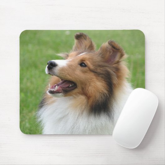 Sheltie auf mousepad (Mit Mouse)
