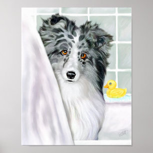 Sheltie Bad-Bi-Blau Poster