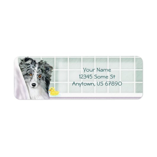 Sheltie Bath Bi Blue Labels (Vorne)