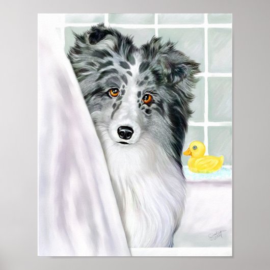 Sheltie Bath Bi Blue Poster (Vorne)