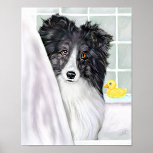 Sheltie Bath Bid Black Poster