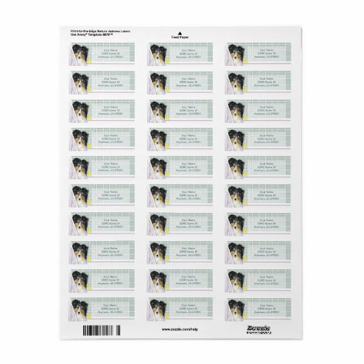 Sheltie Bath Tri Color Labels (Vorne)