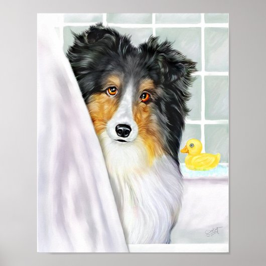 Sheltie Bath Tri Color Poster (Vorne)