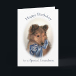 Sheltie Birthday Card für Grandson Karte<br><div class="desc">Diese bezaubernde Shetland Sheepdog Welpen-Geburtstagskarte ist fast so niedlich wie Ihr Enkel!</div>