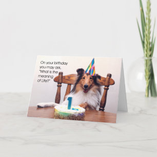 Sheltie Birthday Card Karte