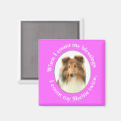 Sheltie Blessing Magnet (Vorderseite/Rückseite)