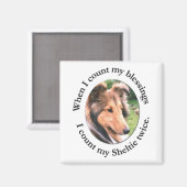 Sheltie Blessing Magnet (Vorderseite/Rückseite)