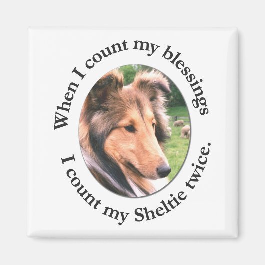Sheltie Blessing Magnet (Vorne)