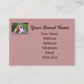 Sheltie Brüter-Visitenkarte Visitenkarte (Rückseite)