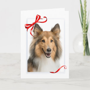 Sheltie Christmas Card Feiertagskarte