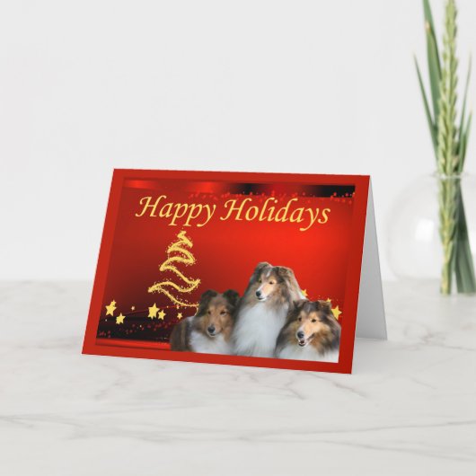 Sheltie Christmas Card Stars Feiertagskarte (Vorderseite)