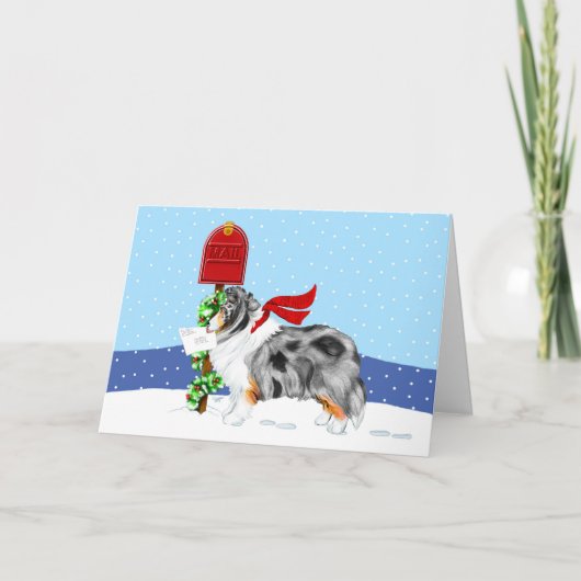 Sheltie Christmas Mail Blue Merle Feiertagskarte (Vorderseite)