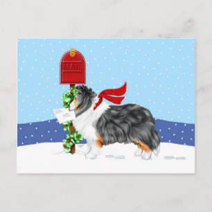 Sheltie Christmas Mail Tri Color Feiertagspostkarte