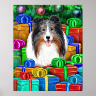 Sheltie Christmas Open Geschenke Blue Merle Poster