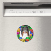 Sheltie Christmas Open Geschenke Tri Color Magnet (In Situ (Geschirrspüler))