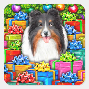 Sheltie Christmas Open Geschenke Tri Farbe Quadratischer Aufkleber