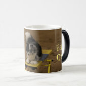 Sheltie, das an einer Agility-Schaukel hängt Kaffeetasse (VorderseiteRechts)