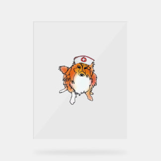 Sheltie Dog in Nurse Hat - animalsinhats Classic T Acrylschild